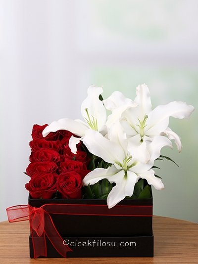 5b9fe65d-431f-4ed1-adae-fb0e4efc61c2