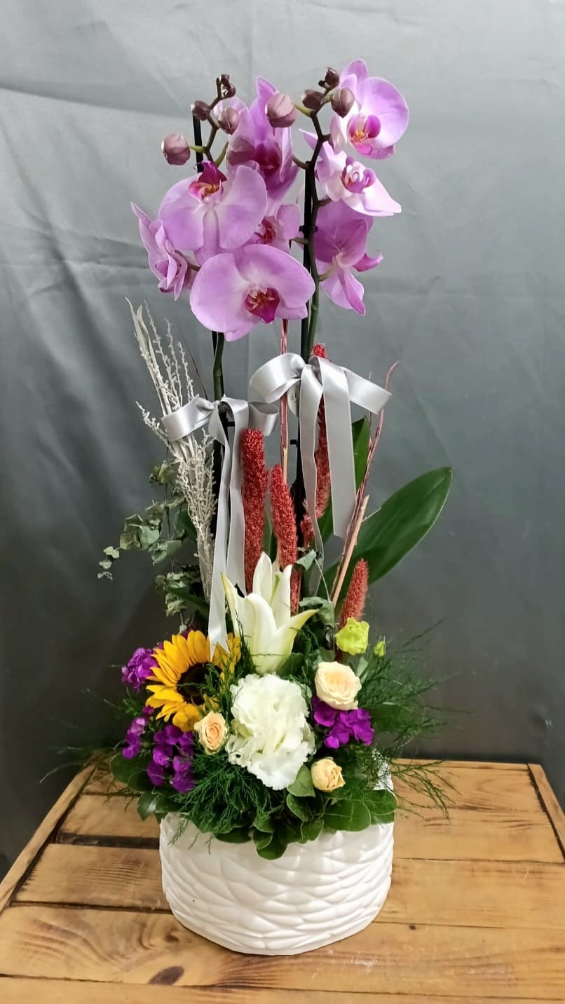 Gül ve Orkide SRN - 25002