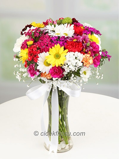 Mevsim Çiçekleri SRN - 25040