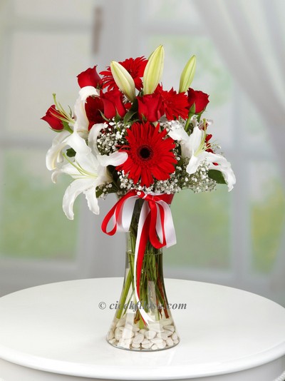 Lilyum ve Gerberalar