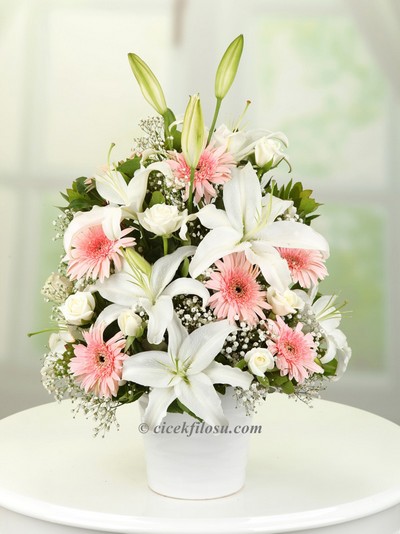 Lilyum ve Gerberalar SRN - 25033