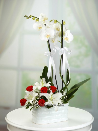 Orkide, Lilyum ve Güller SRN - 25042