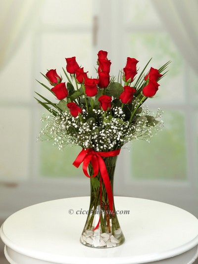 Kırmızı Güller SRN - 25037